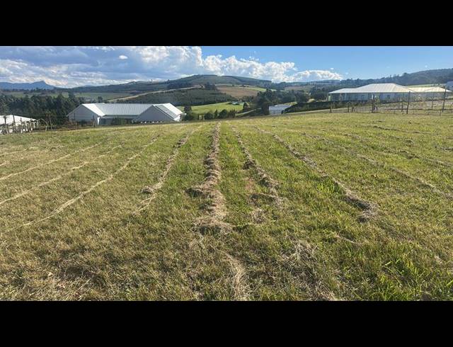 LAND FOR SALE IN DARGLE